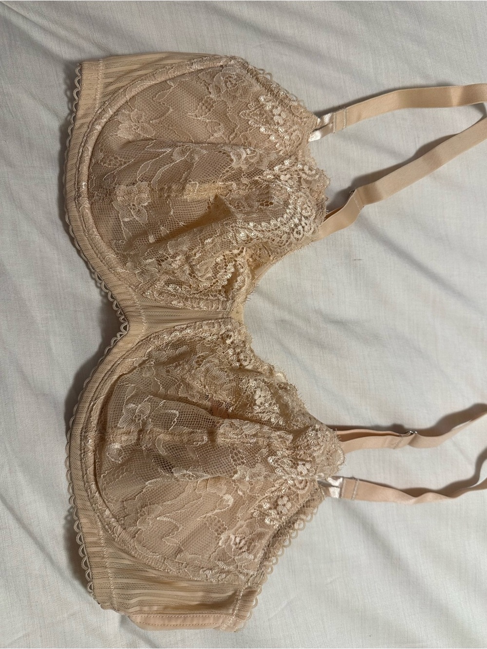 Sheer Lace Underwire Bra in Nude